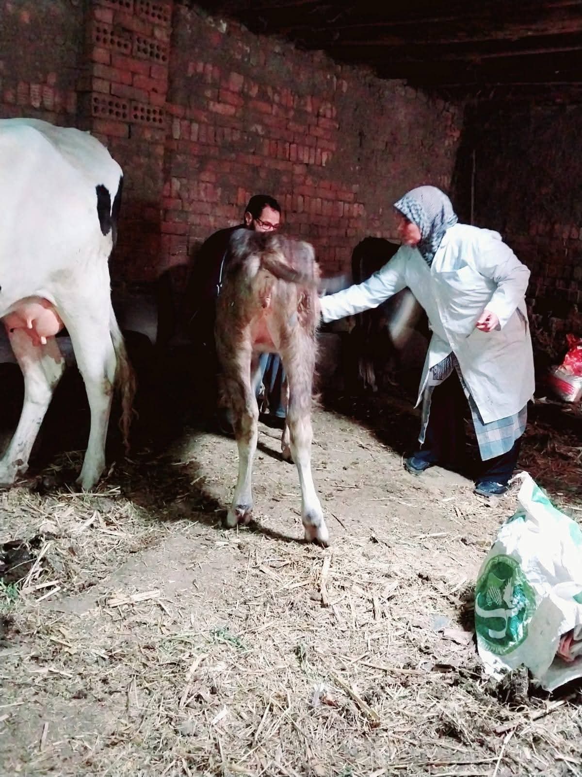 IMG 20260123 WA0053 1