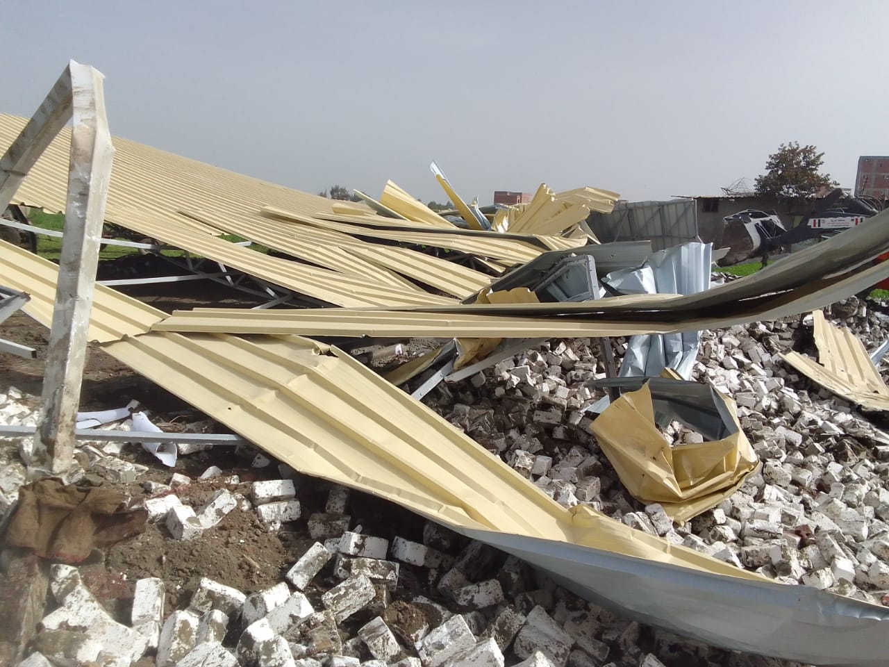 "الزراعة": إزالة أكثر من 1000 حالة تعدي على الأراضي الزراعية خلال أسبوع.. وتكثيف حملات المرور والمتابعة الميدانية 11 IMG 20260131 WA0009