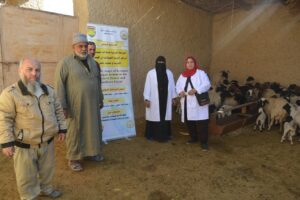 a2f9dbf6 f5f5 46f2 90ba e36f6979426d