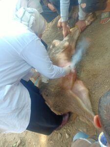 b633510c a92e 4d32 a39d 10306f9e4747