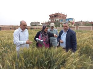 c7869ef1 579a 4df3 81cd e68cab9123ee