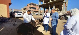 d0036d7b 80ba 4f52 8e98 74d225d3c1b0 1