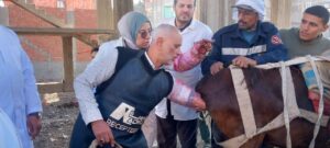 fd47bc8c e9dd 4d6a b442 5acf118ce424 1