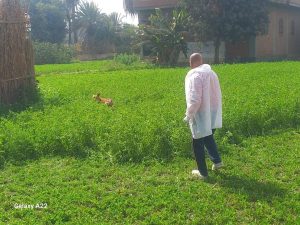 187ded40 e088 4874 8d04 96e71366be59