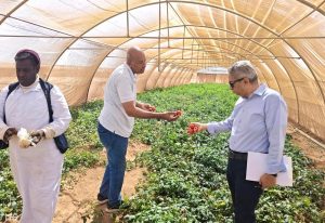 20ed059d 3cfd 4661 aecf d4055b40b21f