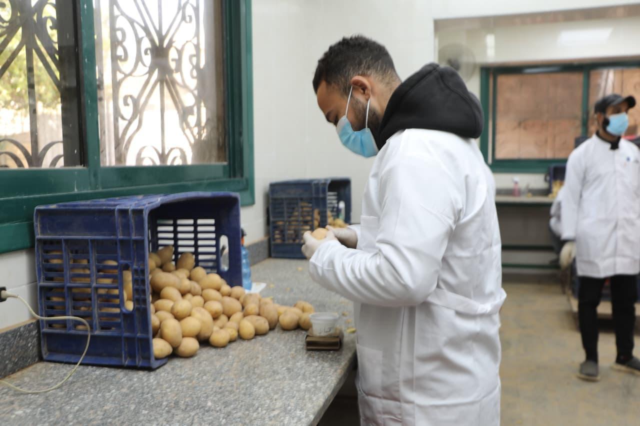 وزير الزراعة ومحافظ الجيزة يفتتحان المعمل المركزي لفحص ومراقبة وتصدير البطاطس 6 25