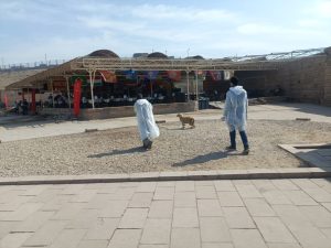 33b83665 3832 41b4 85a6 58948880d8b2