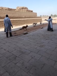 4275a70c 63e8 4758 82ee bc3f0e3b38ae