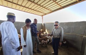 481af433 2dc3 4f8e 8cc1 69d94329bf86