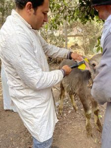 638090130 1426452286158602 5065037628621067995 n