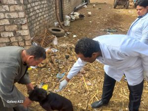 "الزراعة" تعلن تحصين وتعقيم أكثر من 11 ألف كلب حر منذ يناير وتنفيذ 779 ندوة إرشادية لرفع الوعي المجتمعي 1 63eda1a3 53cd 43d5 8afc 9625d1b6c820