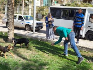 "الزراعة" تعلن تحصين وتعقيم أكثر من 11 ألف كلب حر منذ يناير وتنفيذ 779 ندوة إرشادية لرفع الوعي المجتمعي 2 65ffa463 8c69 4425 ac9b d2d98bf09aec