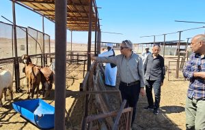 7479001c 338e 4e3c 87f4 610857c081bf