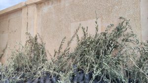 77029680 671d 4012 ac66 2e3194c3e1bb