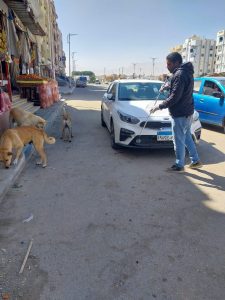 8ae21cc9 796f 4bd4 b2f7 6d1ba38812ae