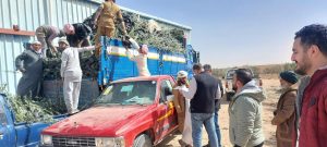 97c53f2d 192e 4b16 81a3 c64ffdea0849