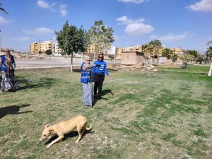 9f90a2f8 2026 4bc1 9506 fda93e8d6092