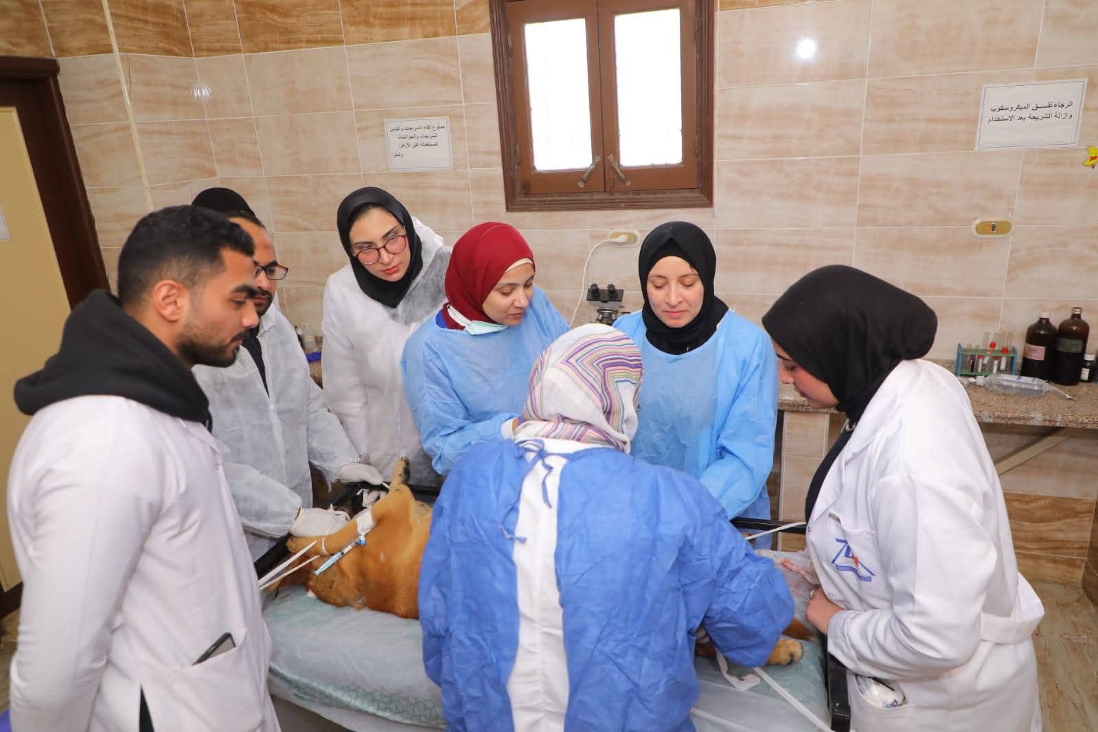 IMG 20260210 WA0018 1