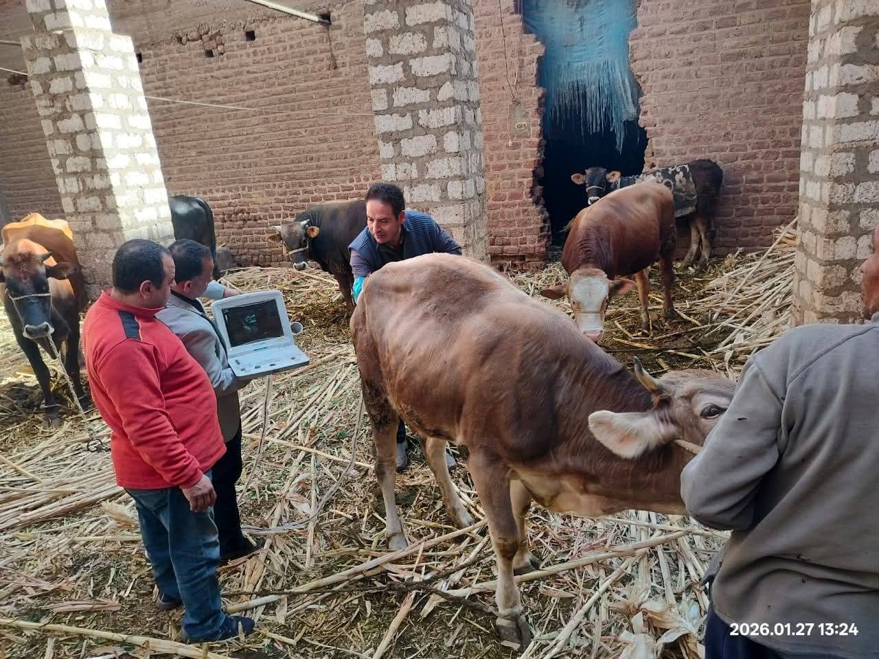 IMG 20260212 WA0054 1