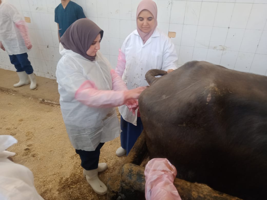 IMG 20260214 WA0011 1