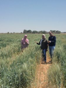 "الزراعة" تستعرض جهود استصلاح الأراضي خلال النصف الأول من فبراير: تكثيف لإزالة التعديات ومواصلة تطهير المساقي والمصارف 7 a86bb843 bc19 4b41 bde0 1df6f5bf6b13