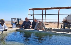 bc6a10b7 1111 4aa3 930d 56fd77652e72