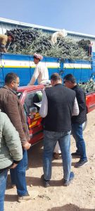 c8445ff1 408e 4770 8adf f69786056c50