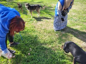 c8f8b138 182b 4270 a5c6 525b398a3e8b