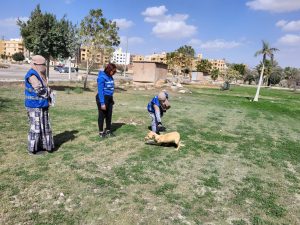 d44b5498 d971 45a4 ad47 b542b922f1c1