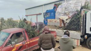 df2240ff 7836 4306 afdb f257bd4f5fb7