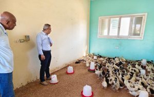 fe56b896 669f 4c93 8cea 25165a166b3a